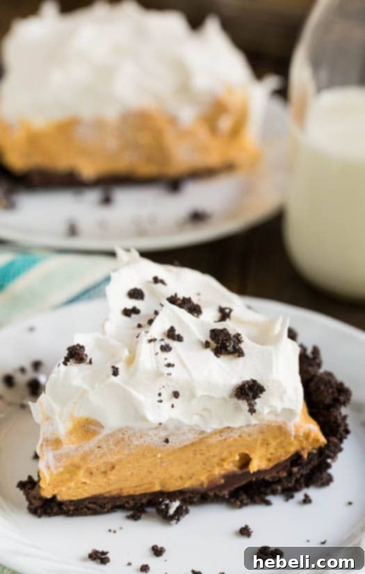 No-Bake Pumpkin Chocolate Swirl Pie 4 Whole Pumpkin-Chocolate Icebox Pie, ready to be served