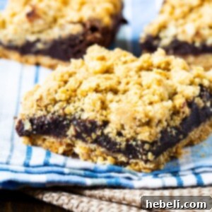 A small image of the finished Chocolate Fudge Oatmeal Bars, showcasing their deliciousness.