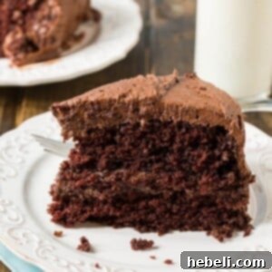 Duke's Chocolate Mayonnaise Cake - so moist and rich!