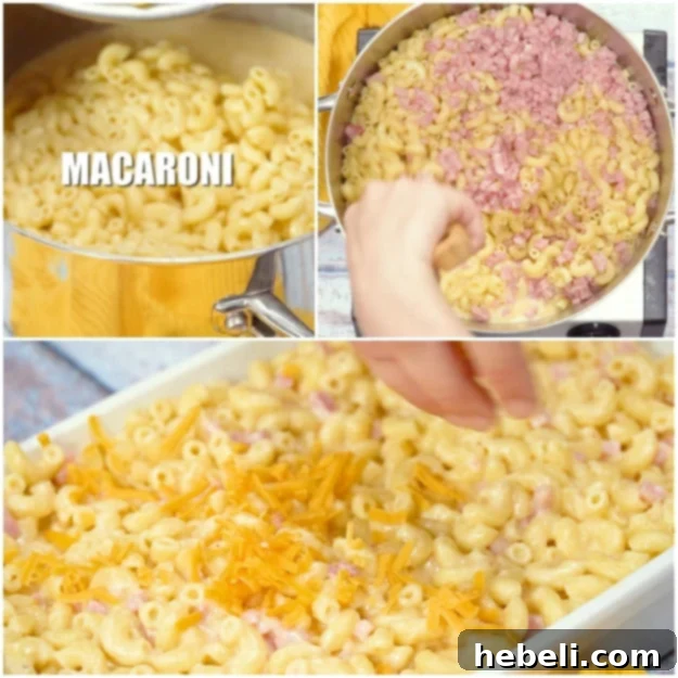Golden Baked Ham Macaroni 6 Assembly shot of Mac and Cheese with Ham, showing cooked pasta and diced ham mixed into the cheese sauce and transferred to a baking dish.