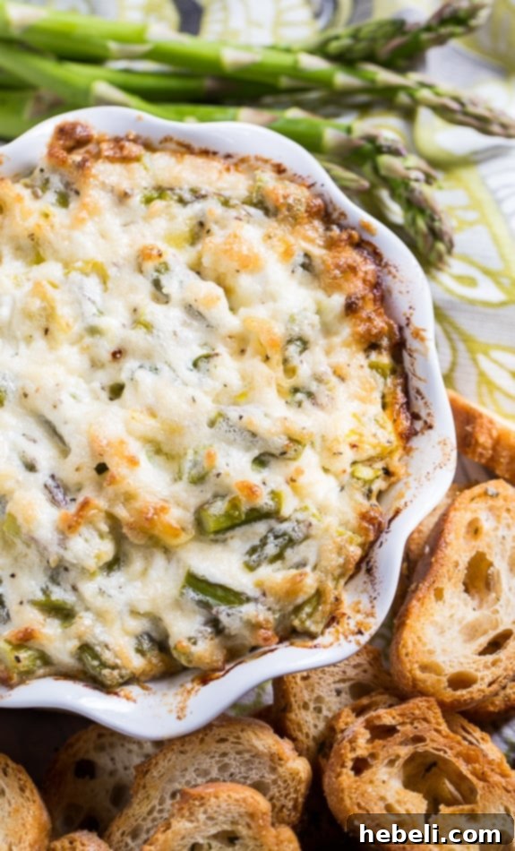 Verdant Asparagus Leek Dip 3 Warm Asparagus and Leek Dip served with toasted baguette slices