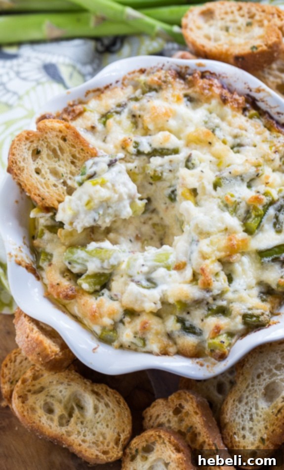 Verdant Asparagus Leek Dip 5 Asparagus and Leek Dip in a baking dish, ready to be served