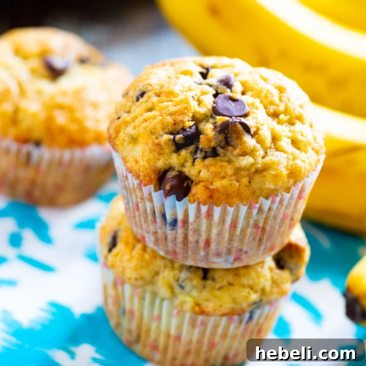 Two golden-brown Banana Chocolate Chip Muffins, stacked one on top of the other, showcasing their moist texture and generous chocolate chips.