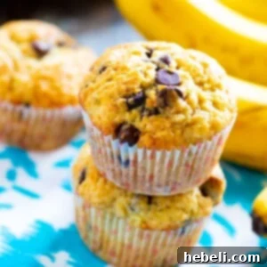 Two Banana Chocolate Chip Muffins stacked on top of each other.