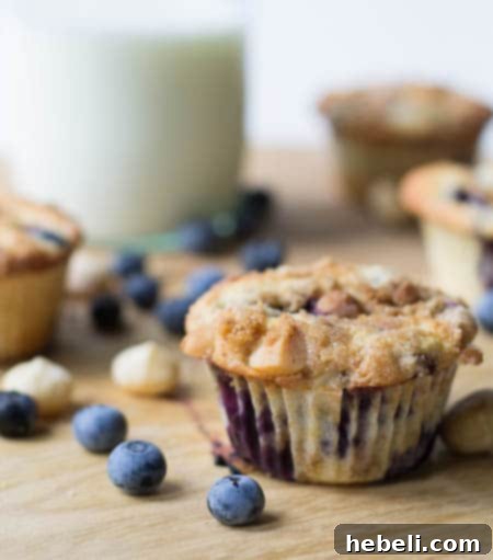 Luscious Blueberry Macadamia Nut Muffins with a crumbly topping.