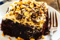 Chocolate Peanut Butter Dream Cake