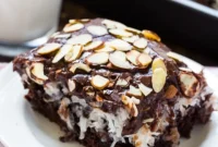 Coconut Almond Chocolate Dream Cake