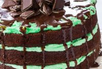 Andes Mint Chocolate Dream Cake