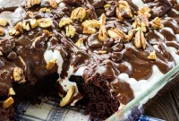 Decadent Mississippi Mud Cake