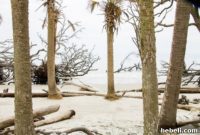 Hunting Island Coastal Reserve