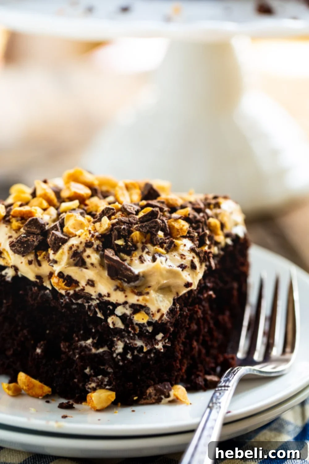 Chocolate Peanut Butter Dream Cake 3 Close-up of a generous slice of Chocolate Peanut Butter Fun Cake on a clean white plate, topped with visible chopped peanuts and chocolate, highlighting the cake's moist interior and the thick, fluffy frosting.