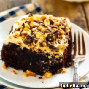 Slice of Chocolate-Peanut Butter Fun Cake on plate.