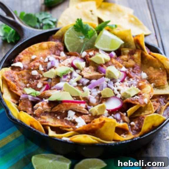 Delicious Chicken Chilaquiles with crispy tortilla chips, succulent chicken, rich red chile sauce, and crumbled cotija or queso fresco cheese. A perfect Mexican comfort food dish.