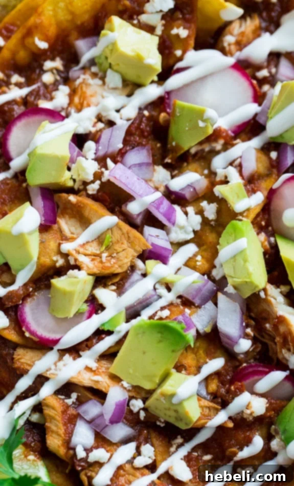 Beautifully plated Chicken Chilaquiles, generously topped with an assortment of fresh ingredients including cheese, red onion, and a delicate drizzle of sour cream, ready to be enjoyed.