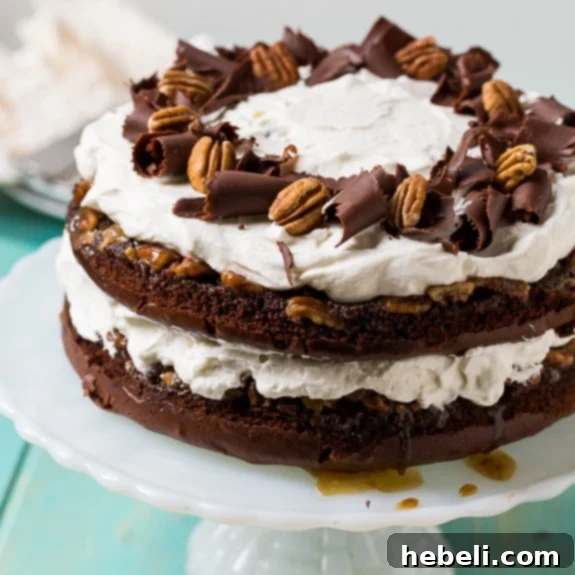 Chocolate Praline Layer Cake - a truly spectacular southern dessert, surprisingly easy to make from a cake mix.