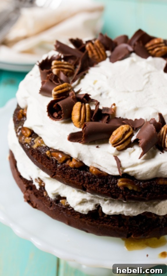 Chocolate Praline Layer Cake, featuring perfectly baked layers with the praline crust.