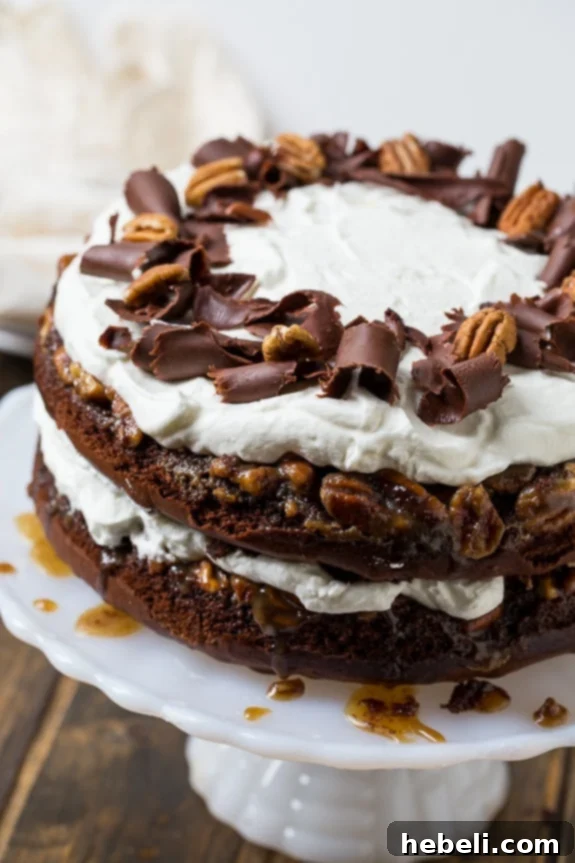 Chocolate Praline Layer Cake assembly, showing the praline layer on top.