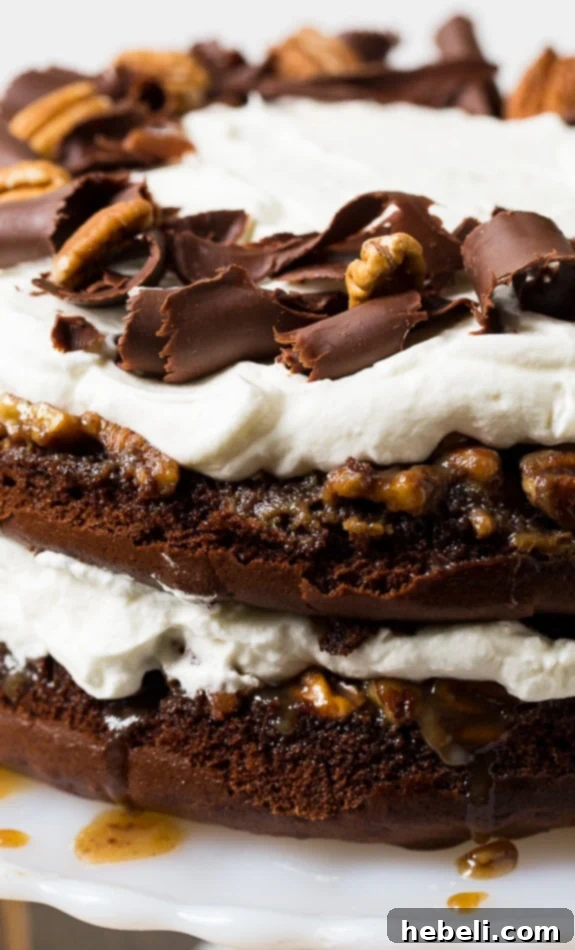 Finished Chocolate Layer Praline Cake, decorated with pecans and chocolate curls.