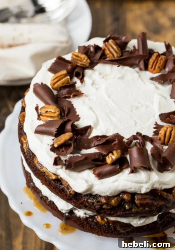 A close-up of the delicious Chocolate Praline Layer Cake, ready to be served.