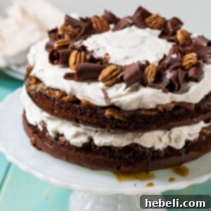 Chocolate Praline Layer Cake- super easy to make from a cake mix.