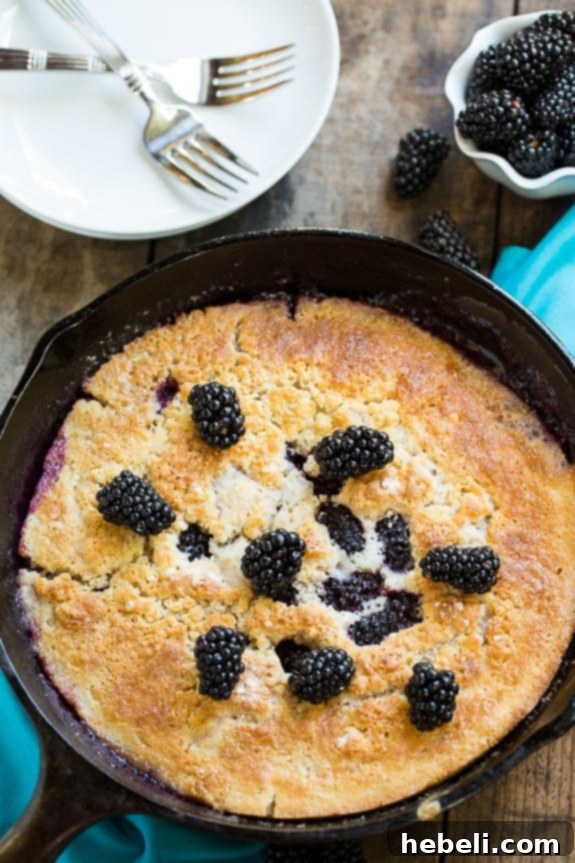 A side view of the Skillet Blackberry Cobbler, showcasing its golden-brown, bubbly topping and the rich, dark fruit peeking through.