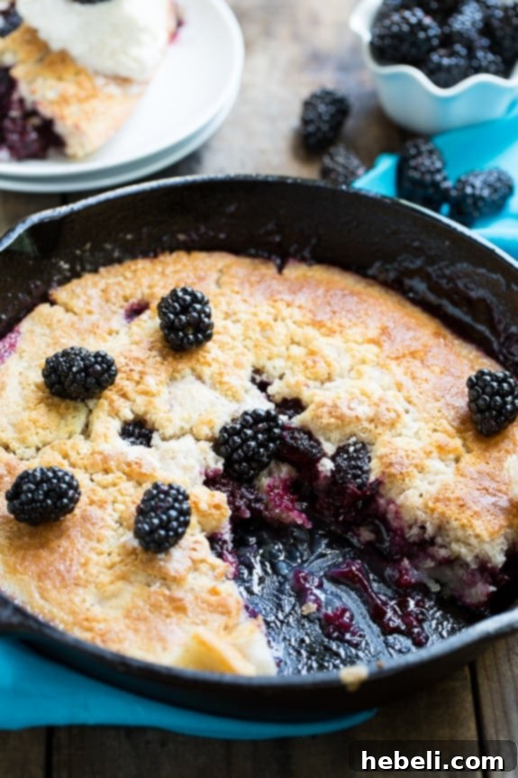 A close-up of a serving of Easy Skillet Blackberry Cobbler, topped with a scoop of vanilla ice cream, emphasizing its warm and inviting appeal.