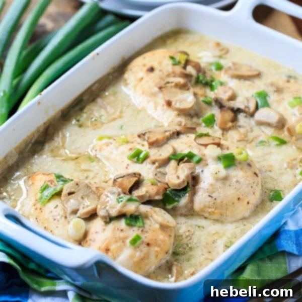 Golden-brown smothered chicken breasts in a creamy mushroom sauce, garnished with fresh green onions, ready to serve.
