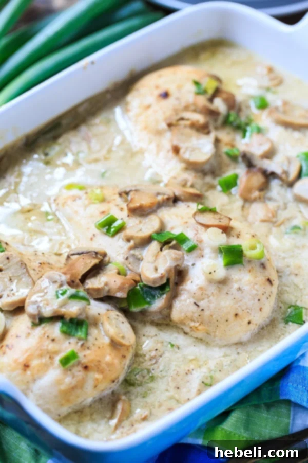 A family-style serving of Smothered Chicken Breasts in a simple mushroom cream sauce, showcasing its homestyle appeal and inviting presentation.