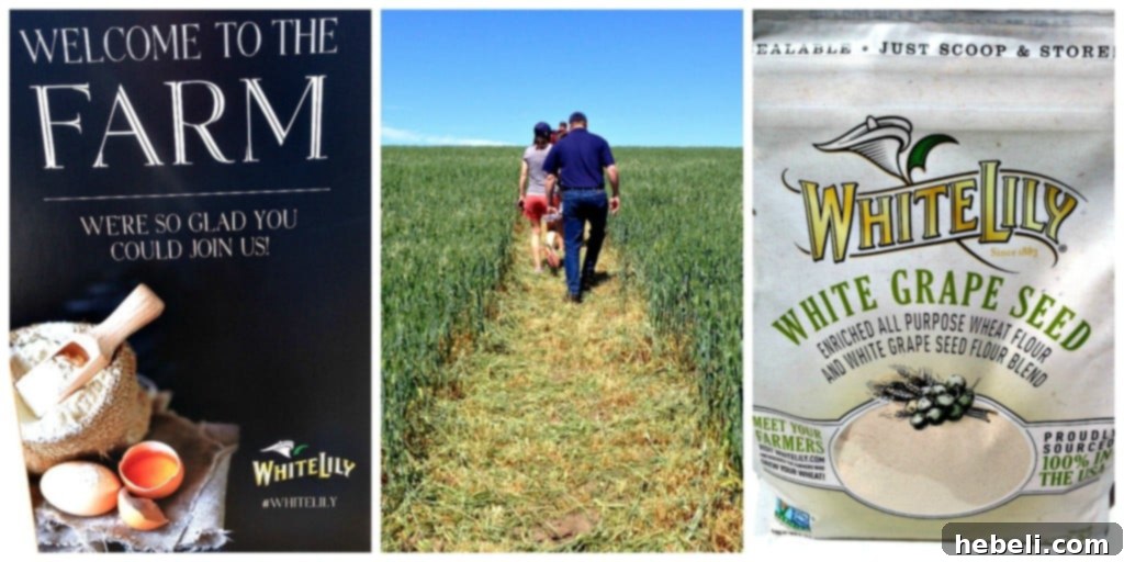White Lily Premium Flour Blends featuring Shepherd's Grain partnership.