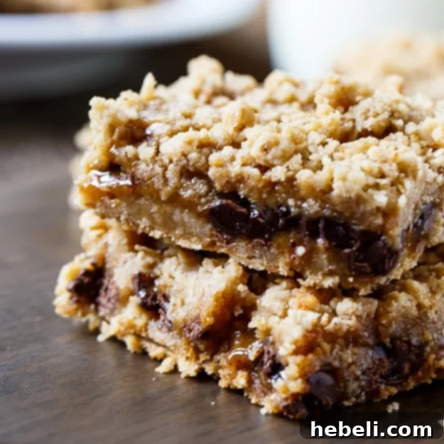 Oatmeal Carmelitas - chocolate chips and caramel sandwiched between oatmeal cookie dough layers, showcasing the rich, gooey texture.