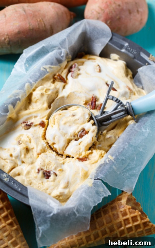 Golden Sweet Potato Ice Cream 3 Close-up of a scoop of Sweet Potato Ice Cream, showing the marshmallow swirl texture.