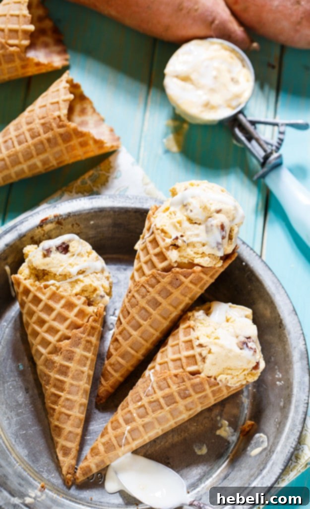 Golden Sweet Potato Ice Cream 6 A scoop of Sweet Potato Ice Cream in a bowl, ready to be enjoyed.