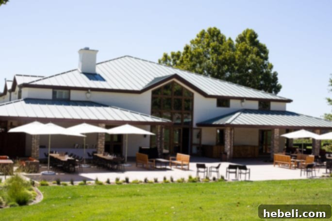Vineyards and grounds of Fess Parker Winery in Santa Barbara, showcasing lush grapevines and a serene landscape