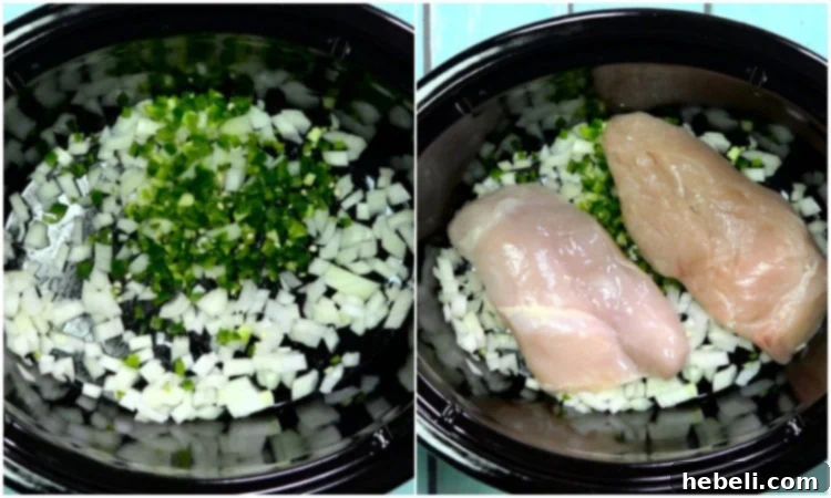 Onion, jalapeno, and chicken added to slow cooker.