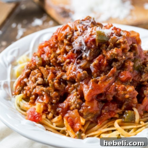 Rich Southern Italian Sausage Spaghetti Sauce with Pasta