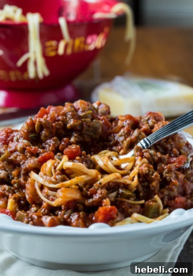 Close-up of Southern Sausage Spaghetti Sauce with Pasta