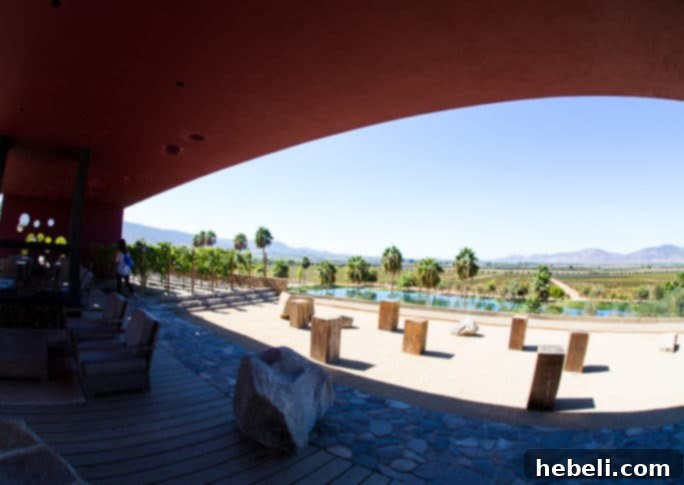 Experience the Best with Princess Cruises 11 Ruby Princess Mexico Wine Country Excursion