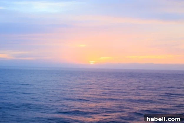 Experience the Best with Princess Cruises 12 Ruby Princess Deck View Ocean