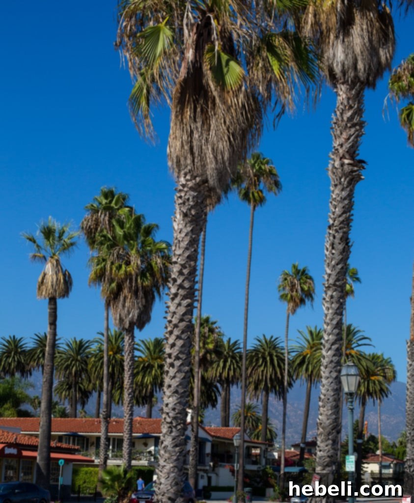 Experience the Best with Princess Cruises 10 Ruby Princess Santa Barbara Shore Excursion