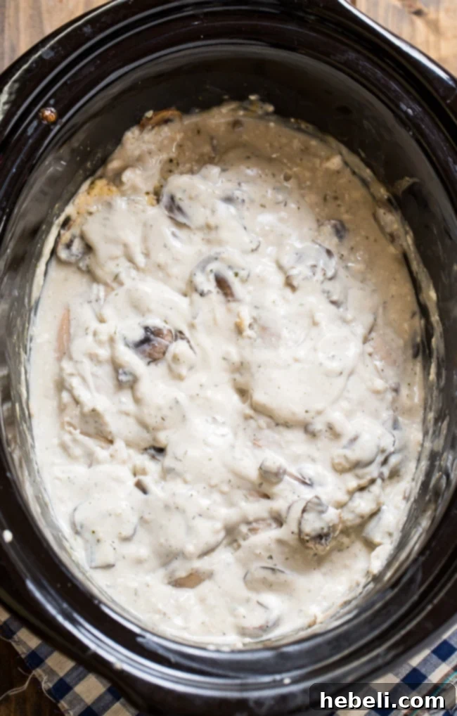 Creamy Crock Pot Chicken, tender and flavorful with ranch seasoning and cream cheese
