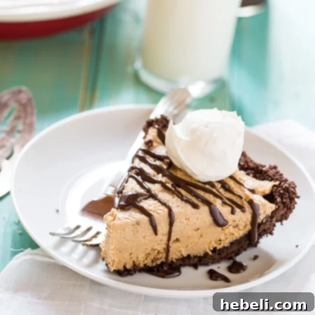Airy Peanut Butter Delight 2 A stunning Lighter Peanut Butter Pie, featuring a dark chocolate graham cracker crust and a smooth, creamy peanut butter filling, perfect for a guilt-free indulgence.