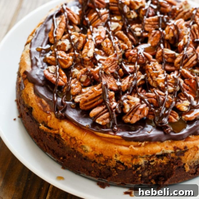 Brownie Bottom Turtle Cheesecake 2 A visually stunning Turtle Brownie Cheesecake with a rich brownie crust, generously topped with toasted pecans, swirls of golden caramel sauce, and decadent chocolate fudge sauce.