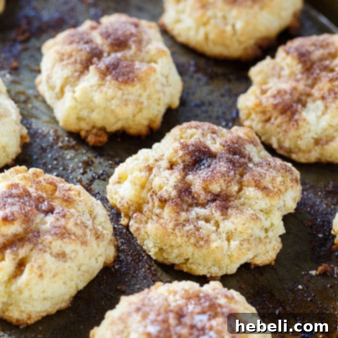 Warm Cinnamon Sugar Drop Biscuits 2 Cinnamon Sugar Drop Biscuits - Fluffy and Sweet