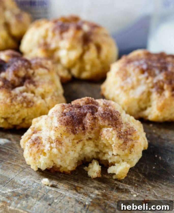 Warm Cinnamon Sugar Drop Biscuits 6 A plate of freshly baked Cinnamon Sugar Drop Biscuits