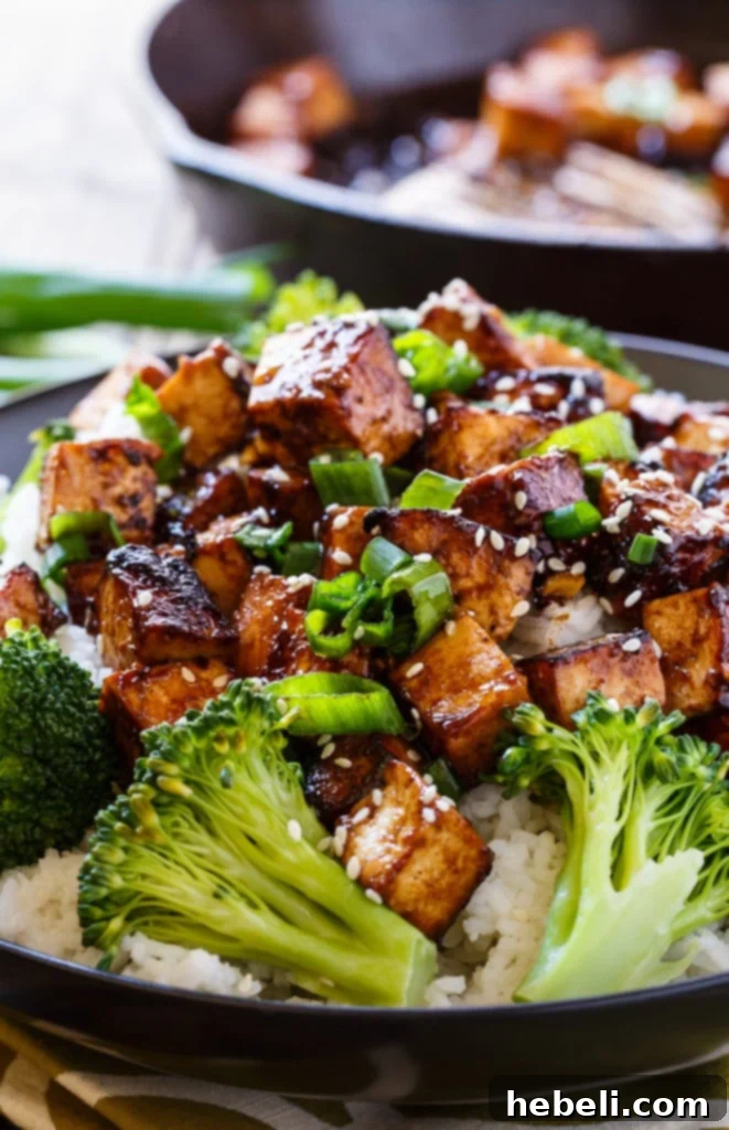 Garnished Asian Garlic Tofu served with rice and green onions, ready to enjoy.