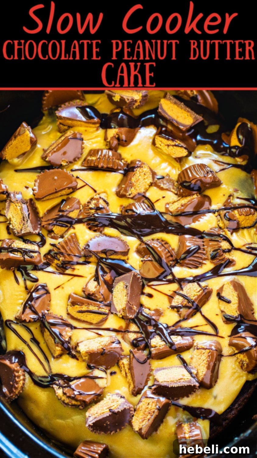 Another mouth-watering view of the Slow Cooker Chocolate Peanut Butter Cake, topped with more peanut butter cups.