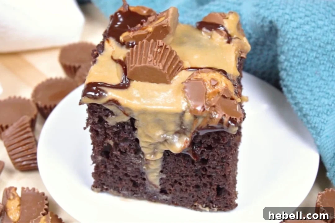 A delectable slice of Slow Cooker Chocolate Peanut Butter Cake on a white plate, showcasing its moist texture and rich toppings.