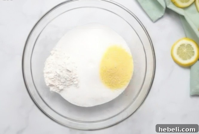 Dry ingredients in bowl.