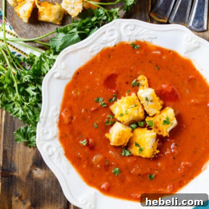 Hearty Tomato Soup 2 Chunky Tomato Soup with Cheese Croutons