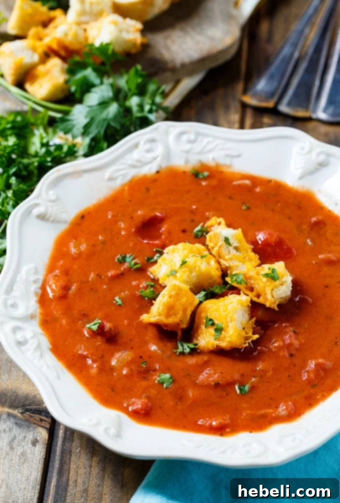 Hearty Tomato Soup 3 Chunky Tomato Soup with Cheese Croutons
